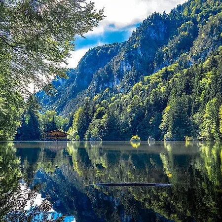 Gemuetliche Berghuette In Sonniger Und Super Lage! * Haus (Tyrol)